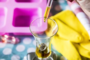 -geannuleerd- Workshop biologische Maasheggenzeep
