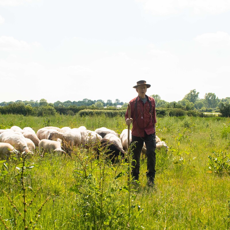 Meerstoel - De Meerstoel was meer dan dertig jaar lang oase aan de Maas