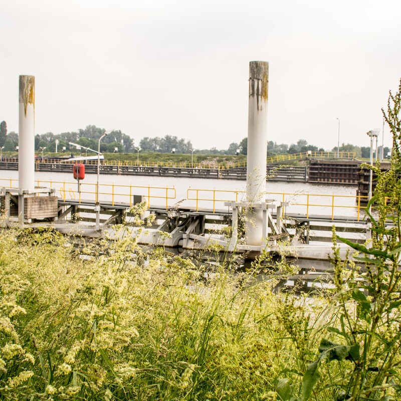 Meerstoel - De Meerstoel was meer dan dertig jaar lang oase aan de Maas