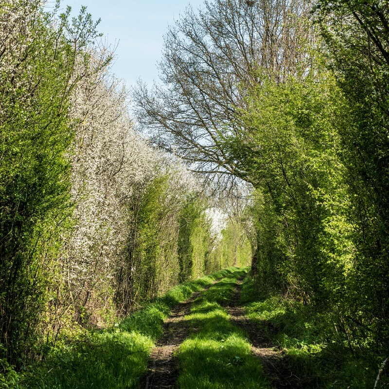 Meerstoel - De Meerstoel was meer dan dertig jaar lang oase aan de Maas