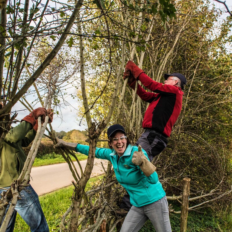 Meerstoel - De Meerstoel was meer dan dertig jaar lang oase aan de Maas