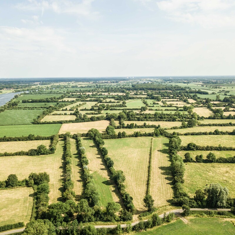 Meerstoel - De Meerstoel was meer dan dertig jaar lang oase aan de Maas